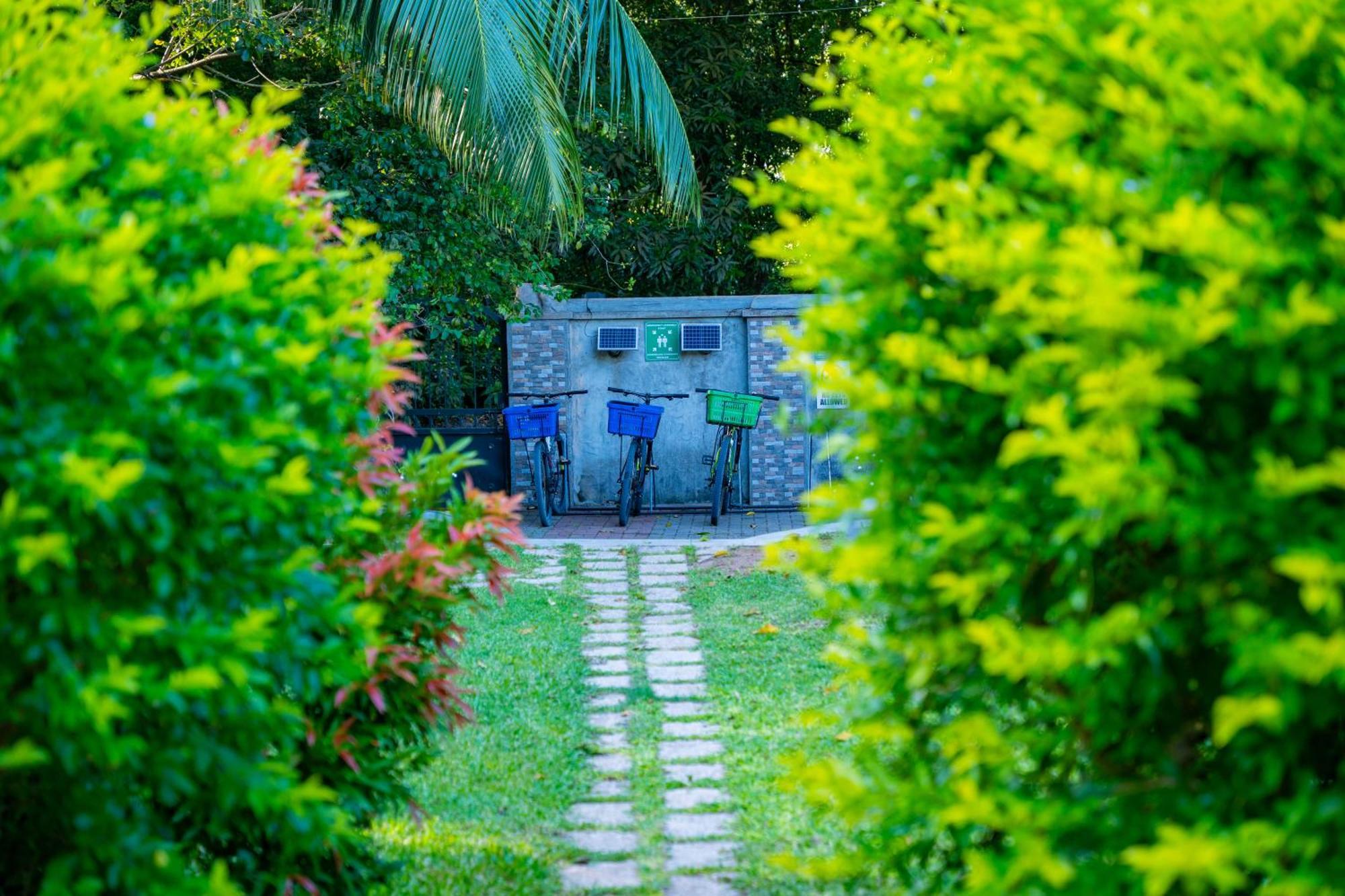 Pension Michel Villa Roche Bois La Digue Kültér fotó