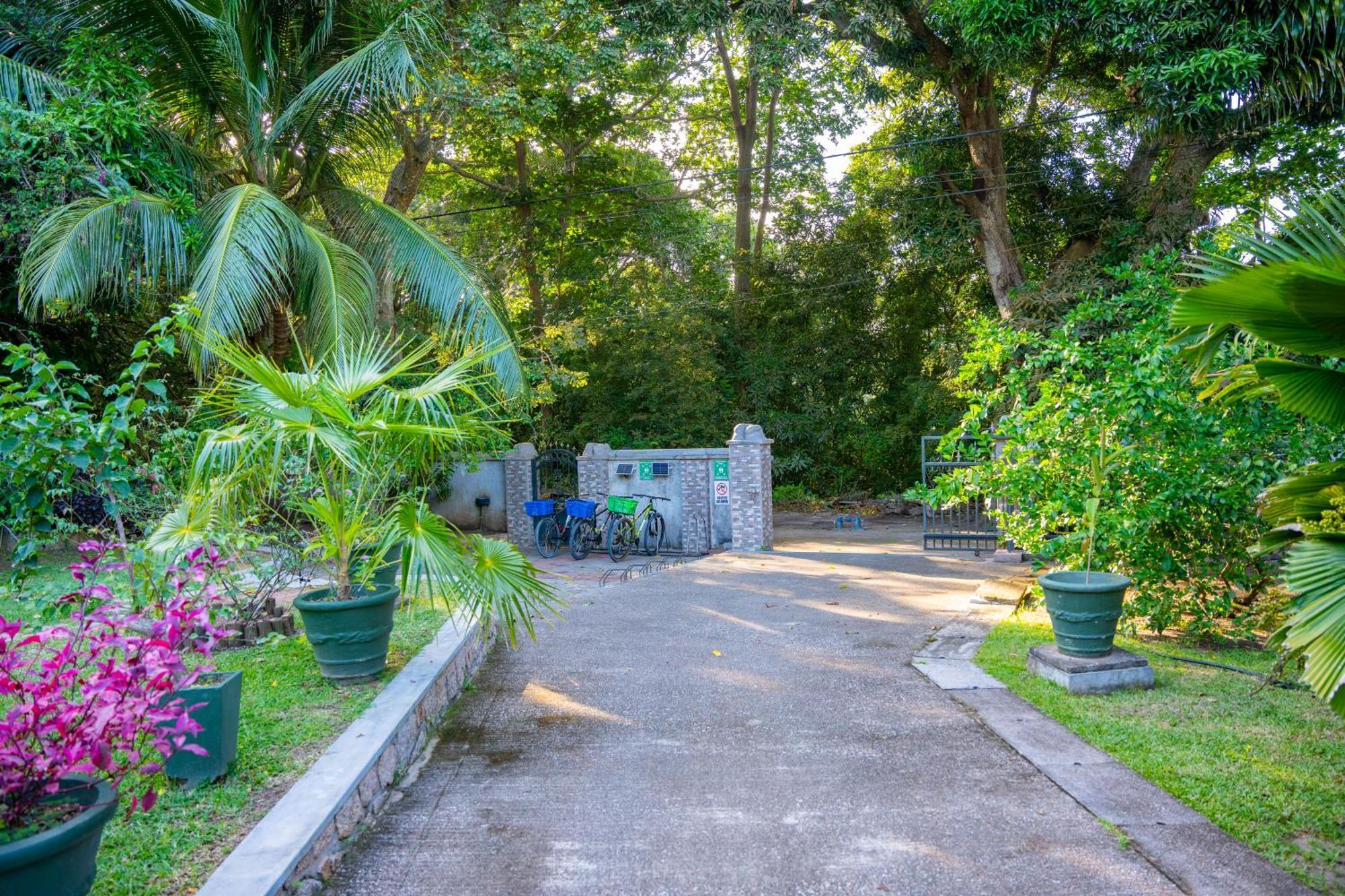 Pension Michel Villa Roche Bois La Digue Kültér fotó
